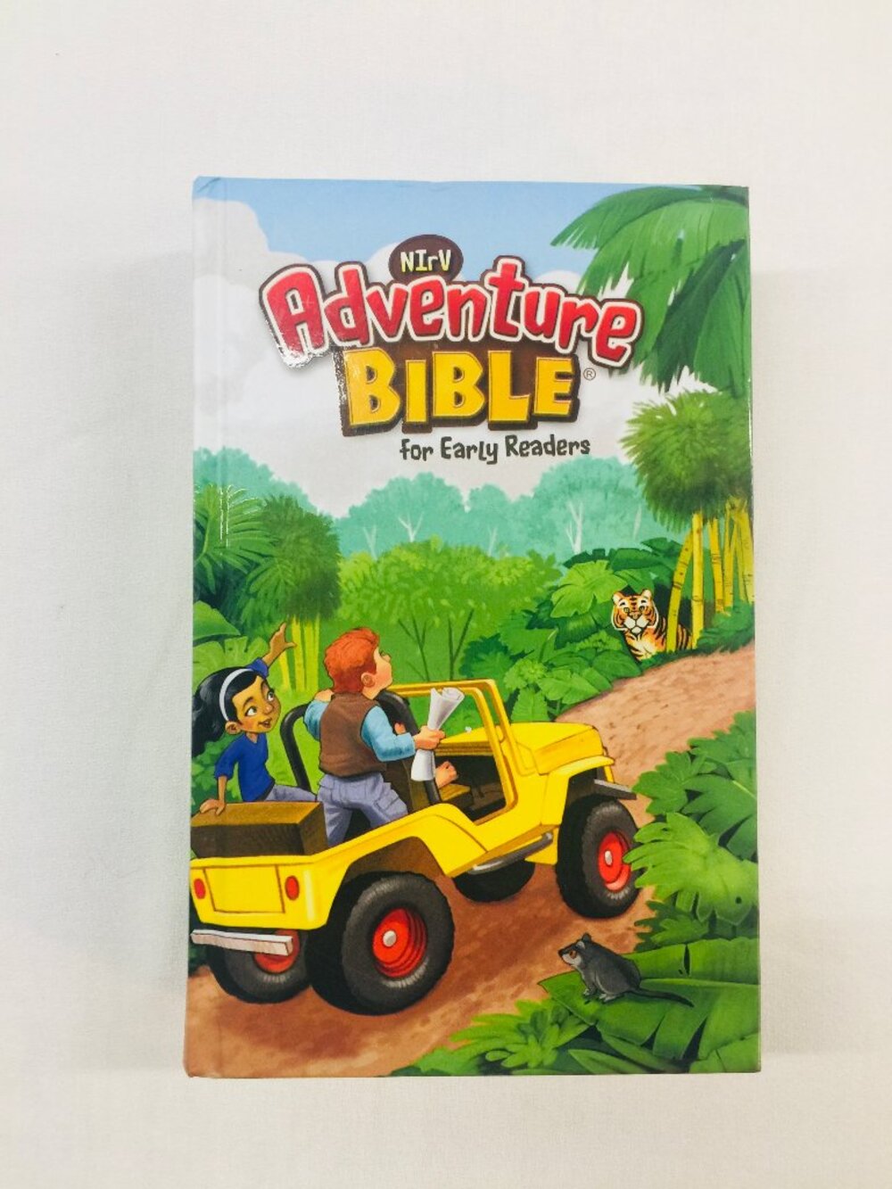 NIV Adventure Bible Kidz Bibles for Early Readers